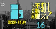 【電機・精密38社】不動産含み益を反映した修正PBRが低い上場企業ランキング！4位森尾電機、1位は？