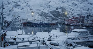 グリーンランドの中心都市ヌークの港に停泊する、雪に覆われた船