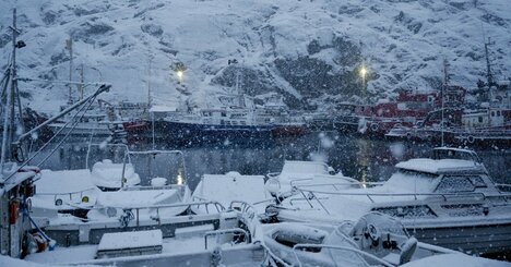 グリーンランドの中心都市ヌークの港に停泊する、雪に覆われた船