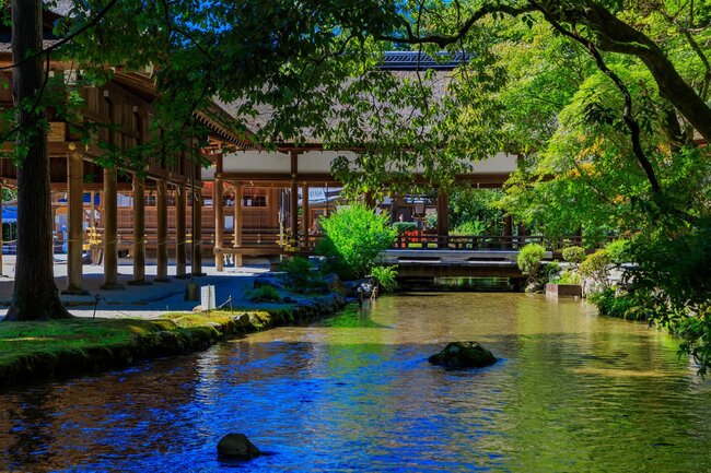 上賀茂神社　ならの小川と舞殿