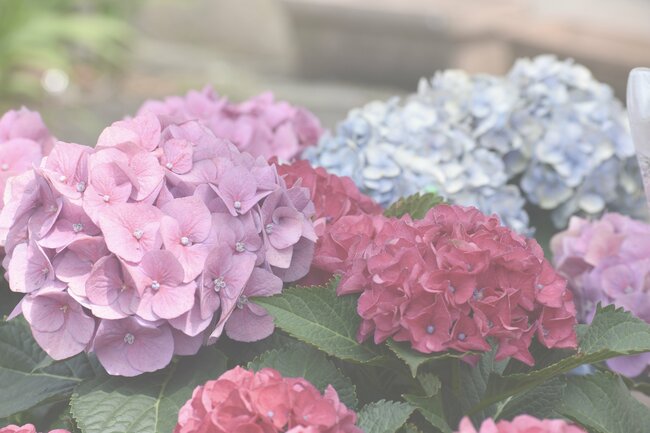 【眼科医が警告】40代から要注意な〈見え方〉の異変「夕方になると見えにくい」「明るいところがまぶしい」…他には？