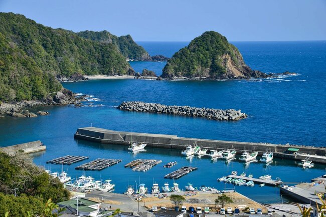 写真：高知県須崎市の「池ノ浦漁港」