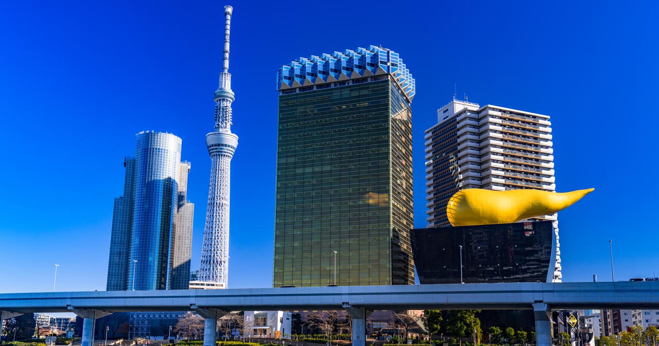 墨田区,小学校区