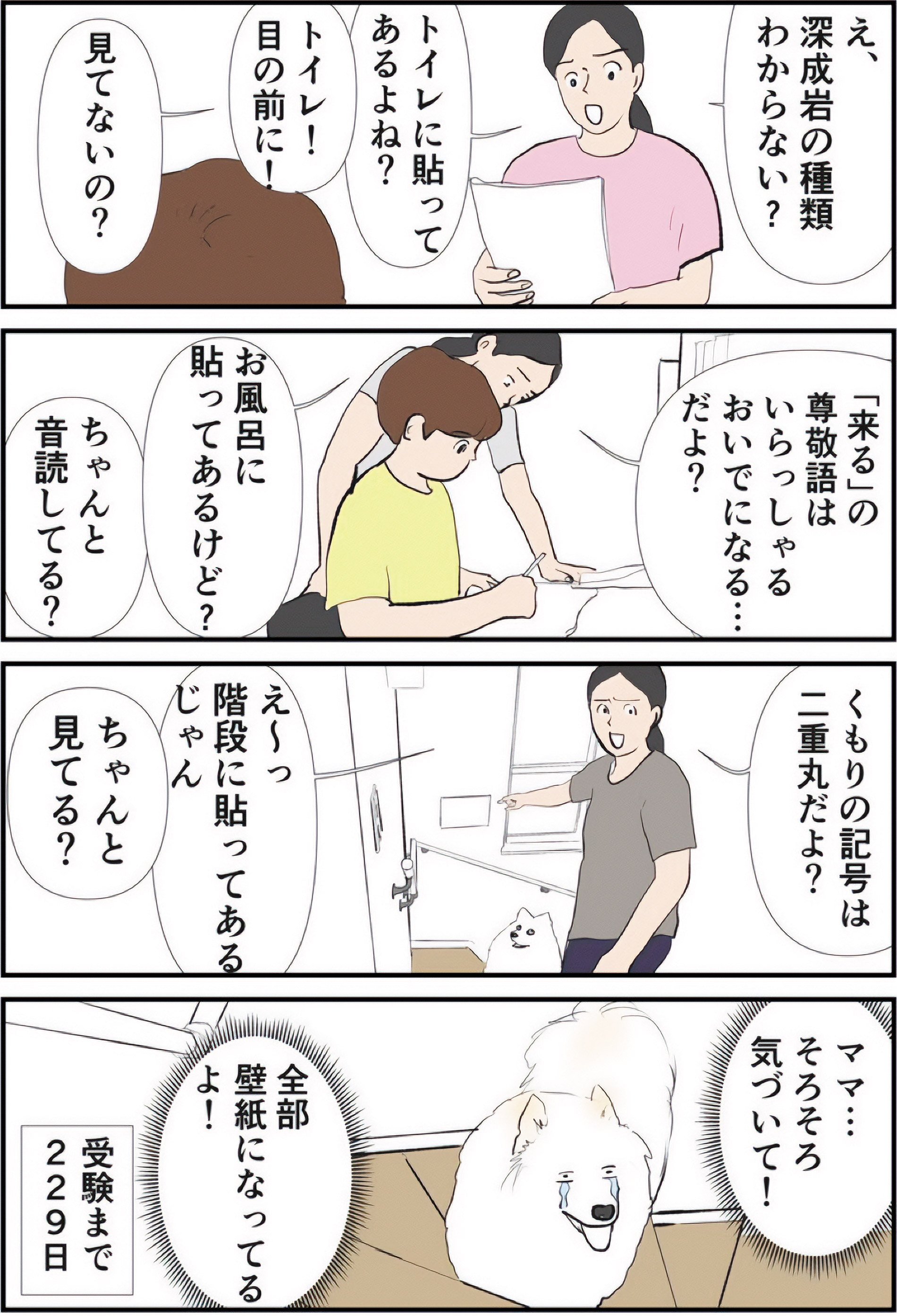 『ギャグ漫画家の母が初めて中受伴走をしてみたら』りえ太郎