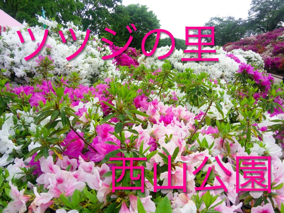 なぜ、いま小中学生を対象とする<br />「プレゼン講座」が増えつつあるのか?