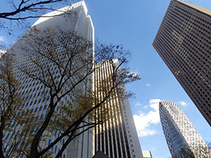 一流企業のマネジャーが明かす、<br />学歴重視の新卒採用をやめられない理由