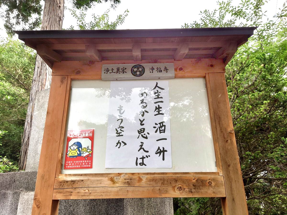 【お寺の掲示板88】明日ありと思う心の仇桜(あだざくら)