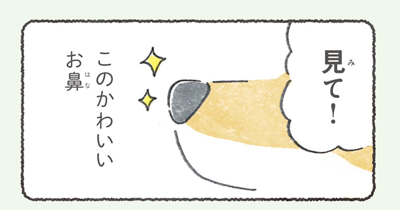 【マンガ】犬好きなら一度は疑問に思う、謎の「素材」について【犬のかわいいところ】