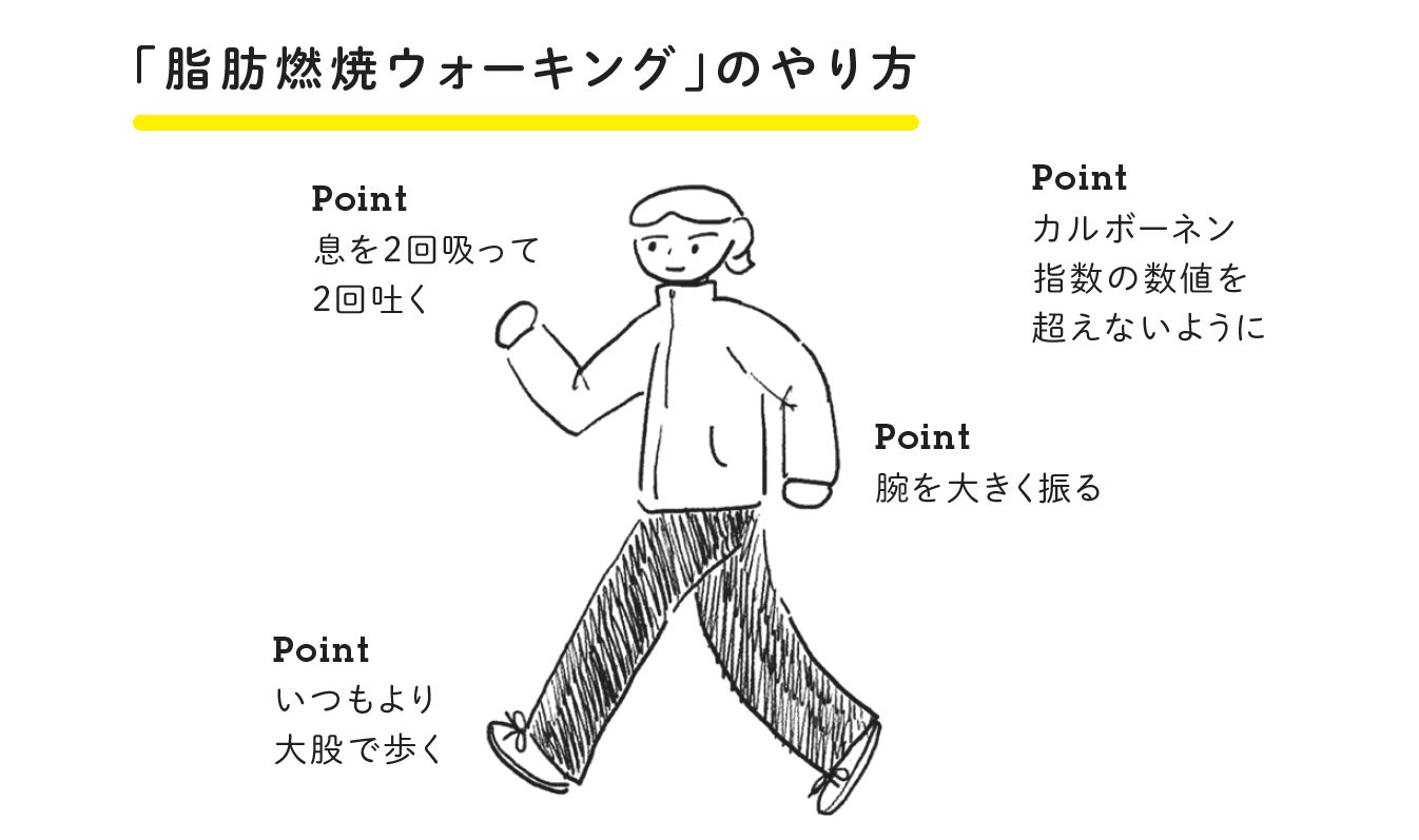 【3か月で自然に痩せる!】最も脂肪が燃焼しやすいウォーキングの速さは?