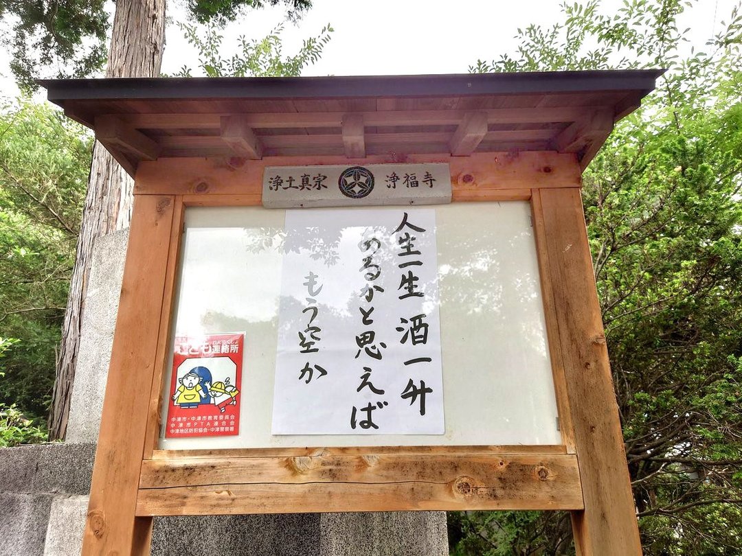 【お寺の掲示板88】明日ありと思う心の仇桜(あだざくら)