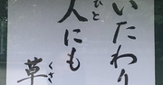 【お寺の掲示板の深い言葉 6】「いたわりは人にも物にも草木にも」