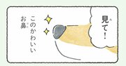 【マンガ】犬好きなら一度は疑問に思う、謎の「素材」について【犬のかわいいところ】