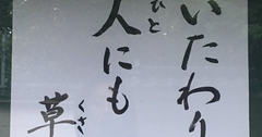 【お寺の掲示板の深い言葉 6】「いたわりは人にも物にも草木にも」