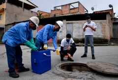 新型コロナの感染追跡、手掛かりは下水調査に