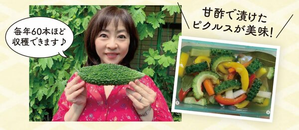 家庭菜園は少しの手間で食費がガッツリ浮く野菜を育てよう！