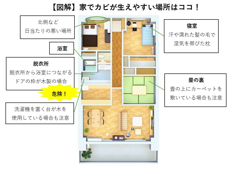 図表：家でカビが生えやすい場所