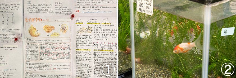 “赤短”の資産を積極活用して進化した「山脇学園」の目指すもの
