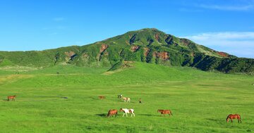 ご当地キャラ認知度ランキング2025！2位千葉県、1位は？