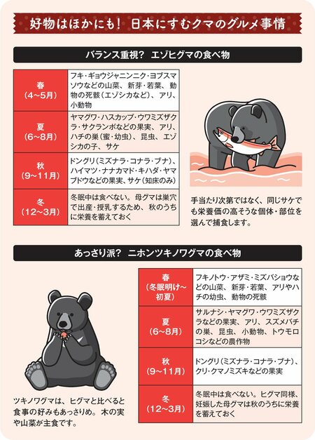図:好物はほかにも!日本にすむクマのグルメ事情