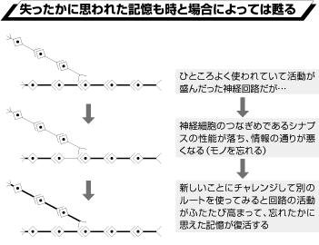突然「おふくろの味」を思い出すのはなぜ？