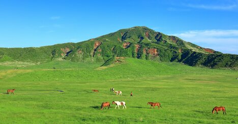 ご当地キャラ認知度ランキング2025！2位千葉県、1位は？