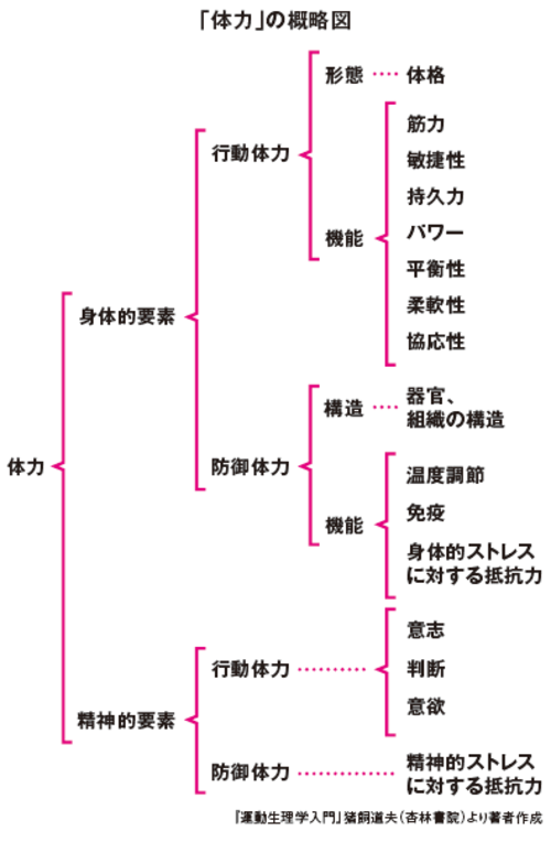 「クンダリーニヨガ」でストレスに強い心と体が手に入る