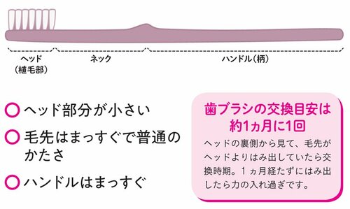 やせたいなら「歯磨き」が大事な理由、不十分だと太りやすい体質になることも