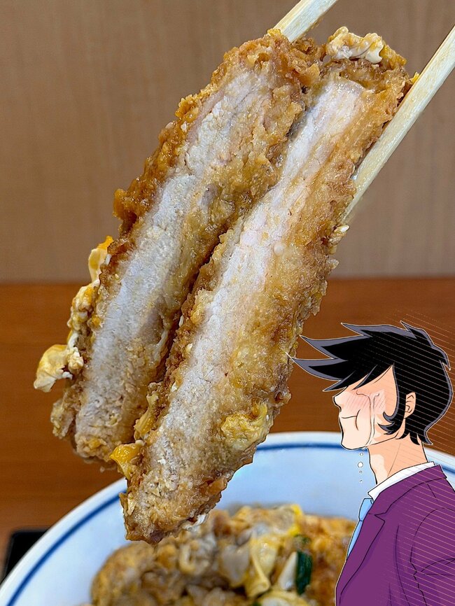 「一番好きな食べ物」「値段以上の満足感」かつやの“鬼盛りどんぶり”お肉たっぷりで食べ応えバツグン!「これはリピート確定」
