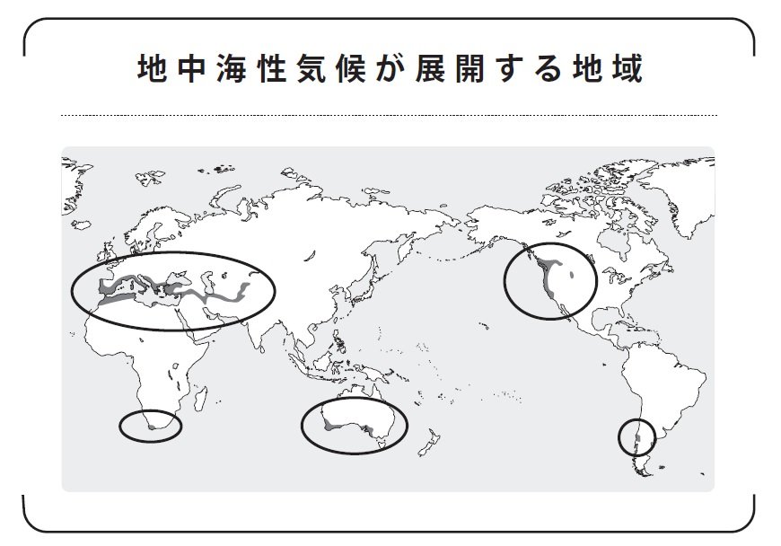 美味しいワインの秘密は「地理」から学べ!