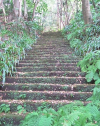 海と山に囲まれた美しい古都「鎌倉」