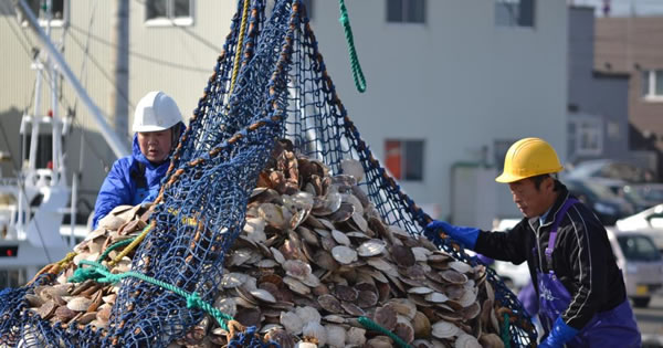 自治体別「年収」ランキング、3位は北海道の“村”だった - from AERAdot.