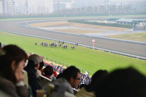 新人女性騎手・藤田菜七子は競馬界で成功できるか