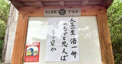 【お寺の掲示板88】明日ありと思う心の仇桜（あだざくら）