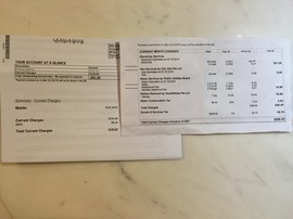 通信費の明細と、「SPS」から届いた明細