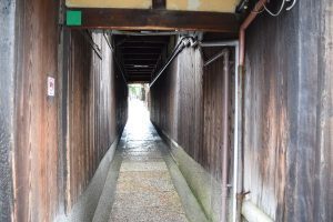 ねねの道