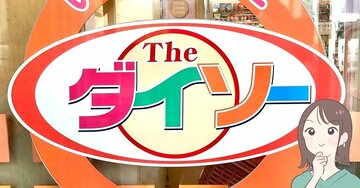 もう財布はコレでいいじゃん…！ダイソーの「ポケットいっぱいポーチ」カードや診察券が50枚も入ったの！【購入レビュー】