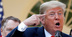 彼らがトランプ氏を憎む本当の理由