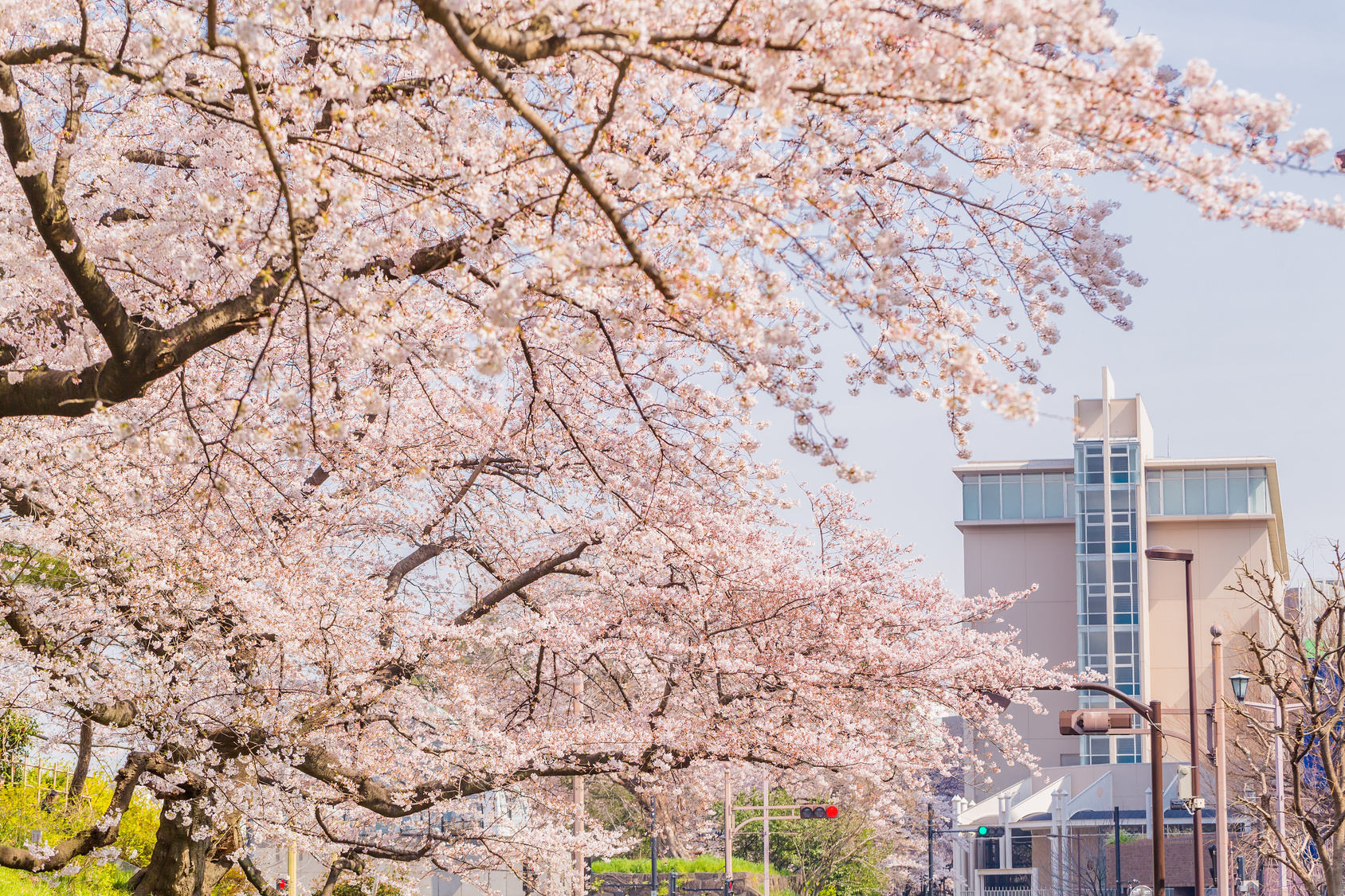 大学入試で「落とされる」小論文の代表例