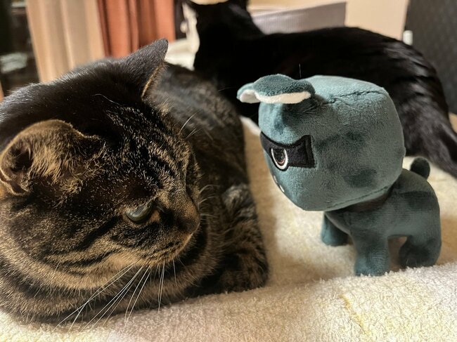 ちなみに我が家にもデリ丸。がいます（笑）。ネコのほうが「なんだコイツ」って言っていそう