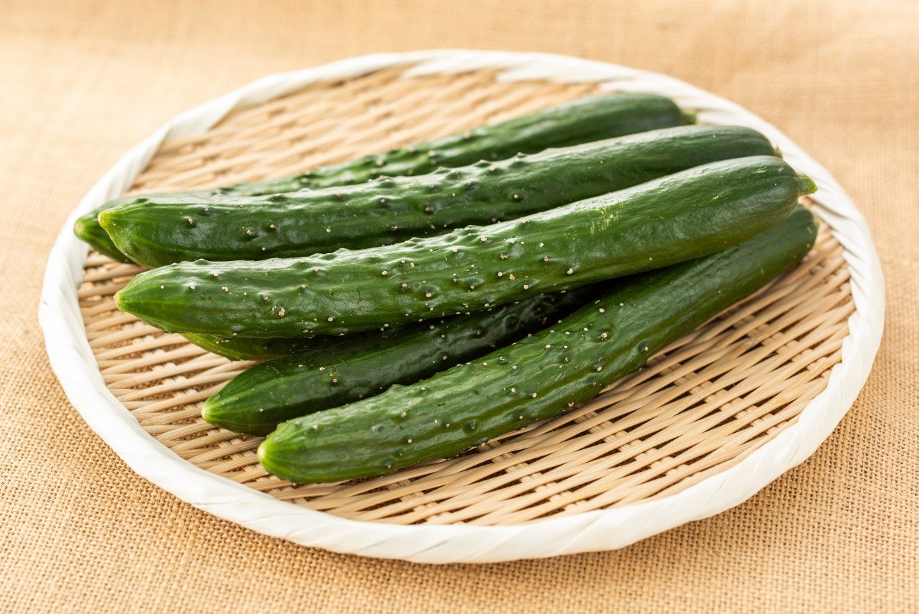 【農家が教える】白い粉がついているきゅうりは避けるべき?