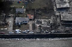 山火事・暴風雨が揺るがす保険市場