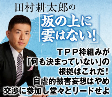ＴＰＰ枠組みが「何も決まっていない」の根拠はこれだ！自虐的被害妄想はやめ、交渉に参加し堂々とリードせよ
