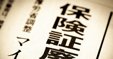 マイナンバーの「肥大化」が止まらない!みずほ銀行どころではない巨大システムへの不安