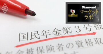 自民・維新が踏み込む「主婦年金」不公平放置に終止符打てるか、第3号被保険者改革の注目論点