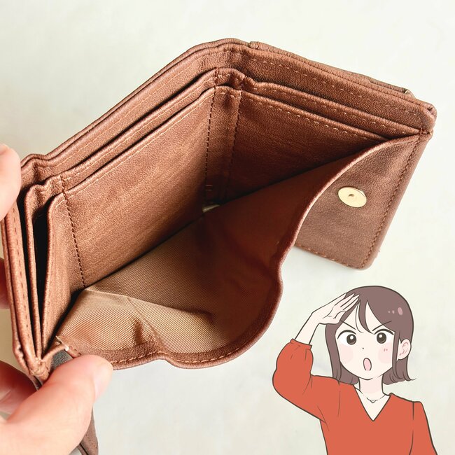 小銭が取り出しやすくて感動…！ダイソー姉妹店の「ミニ財布」ガバッと開くから、レジでの会計がスムーズになった！《購入レビュー》