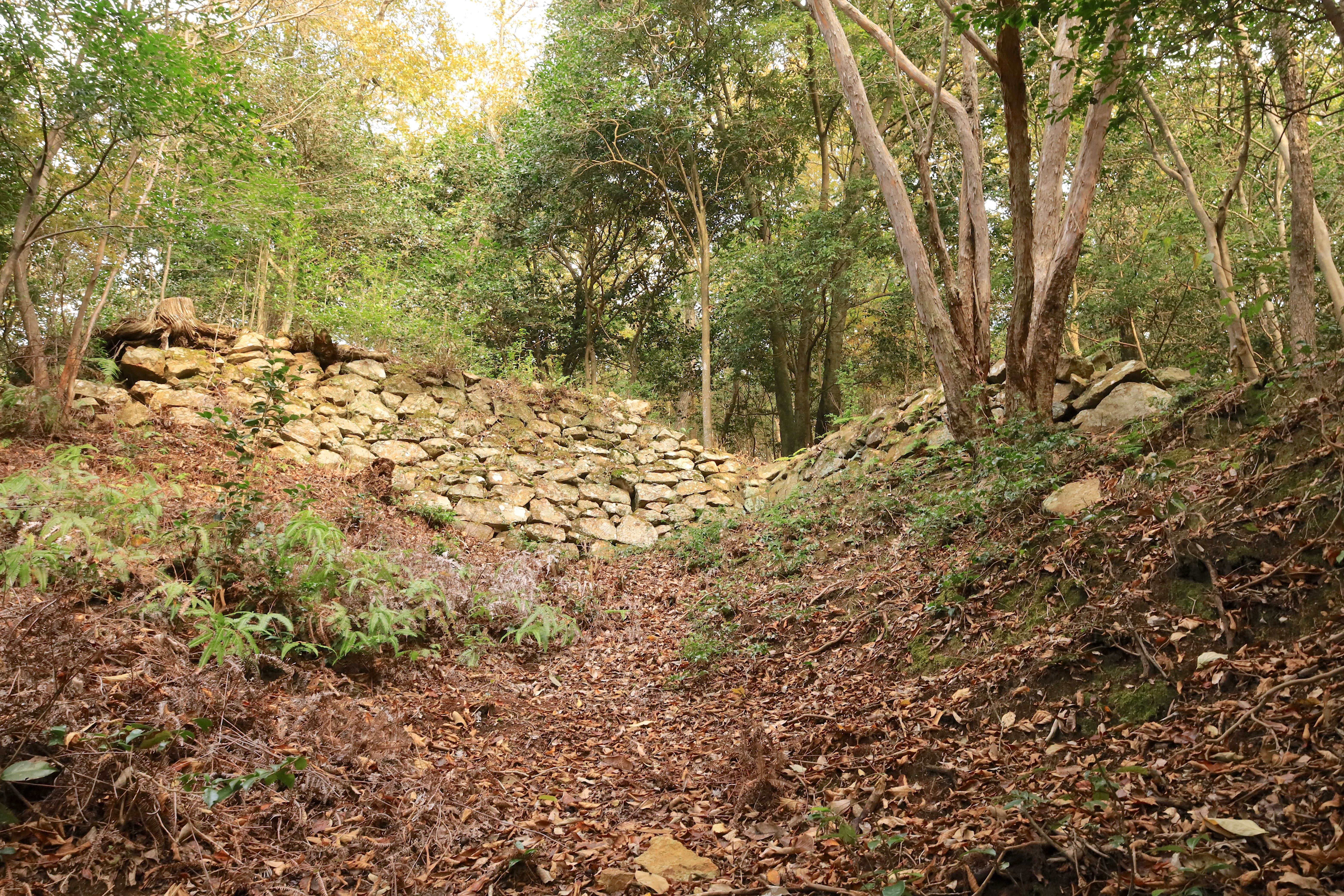 三石城の石垣。北西斜面の大手門付近によく残る