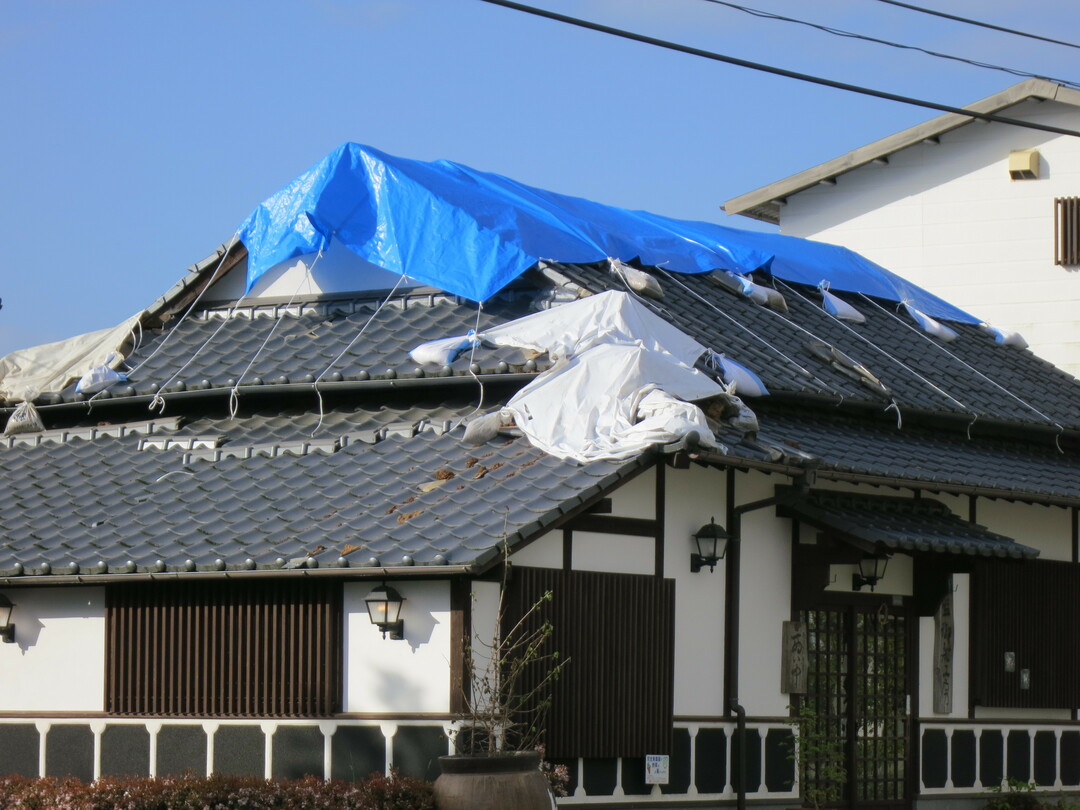熊本地震の被災者とご家族へ、<br />今知っておきたい「クレジットカードと保険」のこと