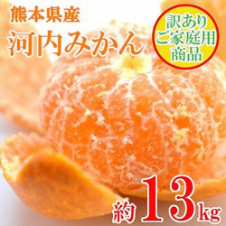 「河内みかん」がもらえる「熊本県長洲町」