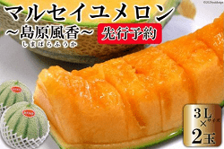 【令和4年度出荷分】マルセイユメロン~島原風香~(3L×2玉)