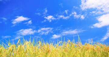 【神様が味方する人の習慣】口から出る言葉が「肯定的な言葉」になれば、神様を味方につけることができる